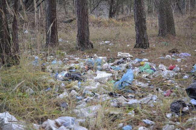 У селищі на Рівненщині показали стихійне сміттєзвалище (ФОТОФАКТ)