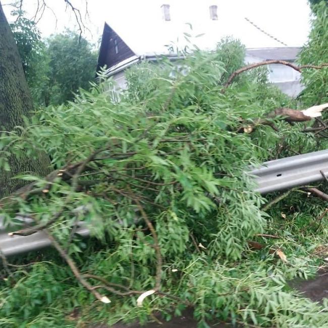 На Рівненщині дощ та град зламали гілки дерев