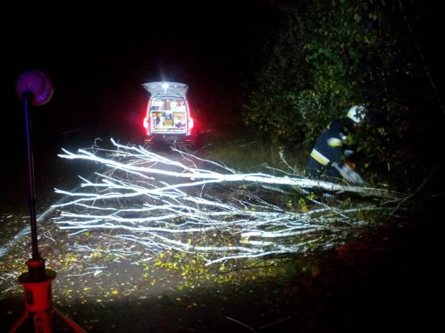 На Рівненщині на міжнародну трасу впало дерево й ускладнило рух 