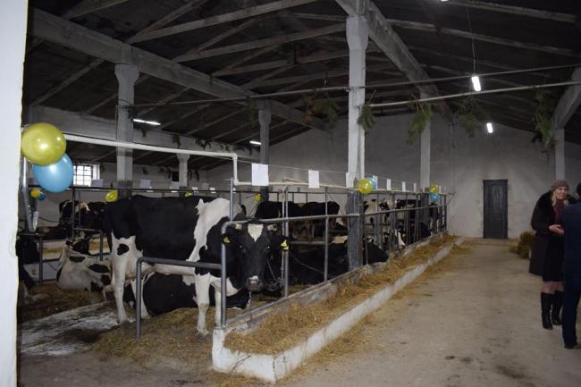 На Рівненщині відкрили ще одну сімейну молочну ферму