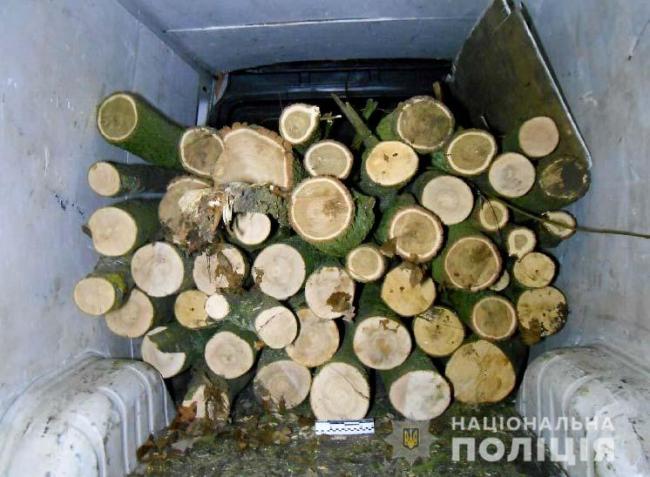 У лісі неподалік Рівного виявили молодика, який вантажив у бус деревину (ФОТО)