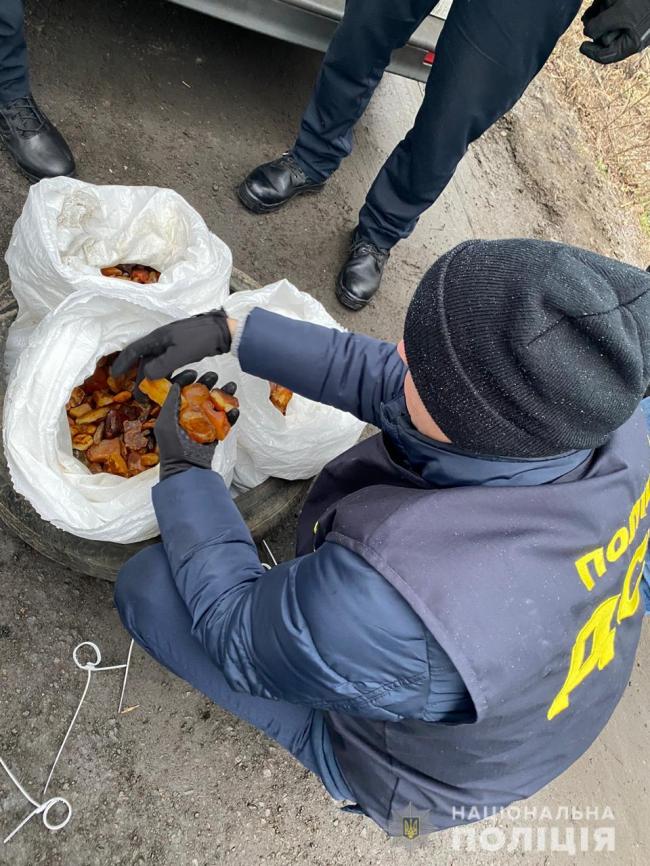 Голова сільради на Рівненщині незаконно перевозив 30 кг бурштину