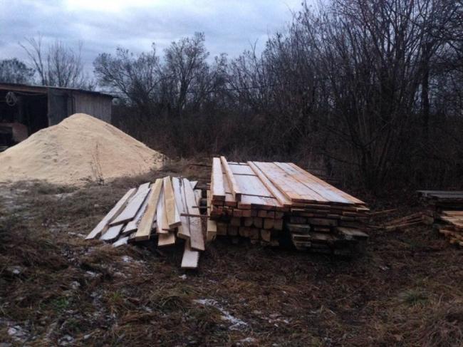 Лісопильні із незаконною деревиною ліквідовують на Рівненщині (ФОТО)