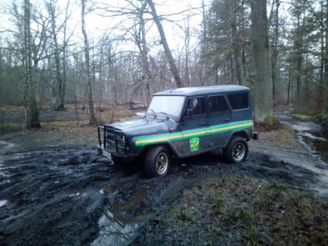 Погрожували і хотіли пошкодити службове авто: невідомі погрожували працівникам лісової охорони на Рівненщині