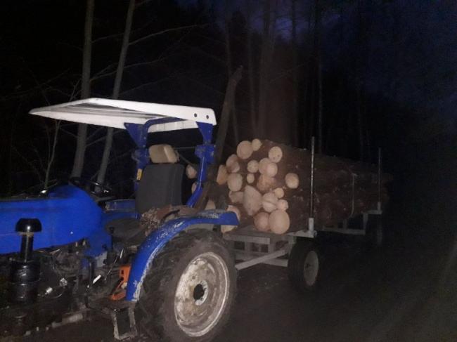 Трактор із незаконно зрубаною сосною виявили на Рівненщині