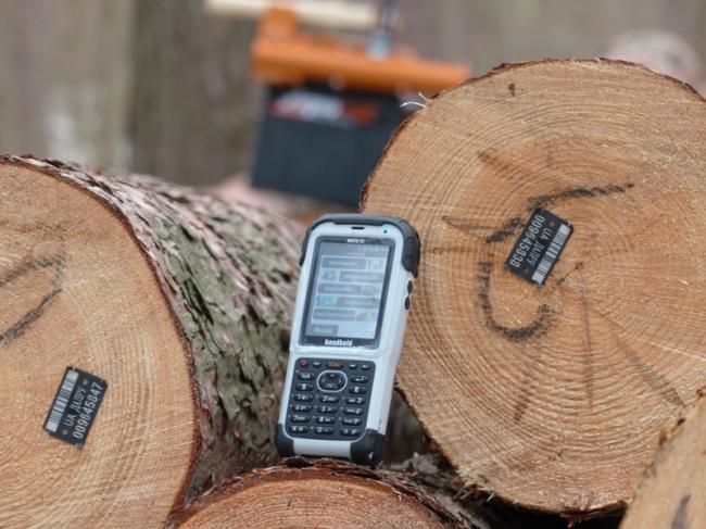 Детінізація лісу: на Рівненщині запроваджено електронний облік деревини