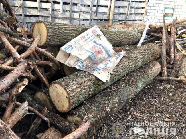 На городі в селі виявили деревину: причетних шукають поліцейські 