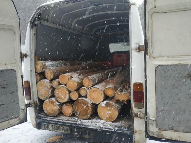 Вантажили ліс у авто: на Сарненщині затримали нелегальних лісорубів 