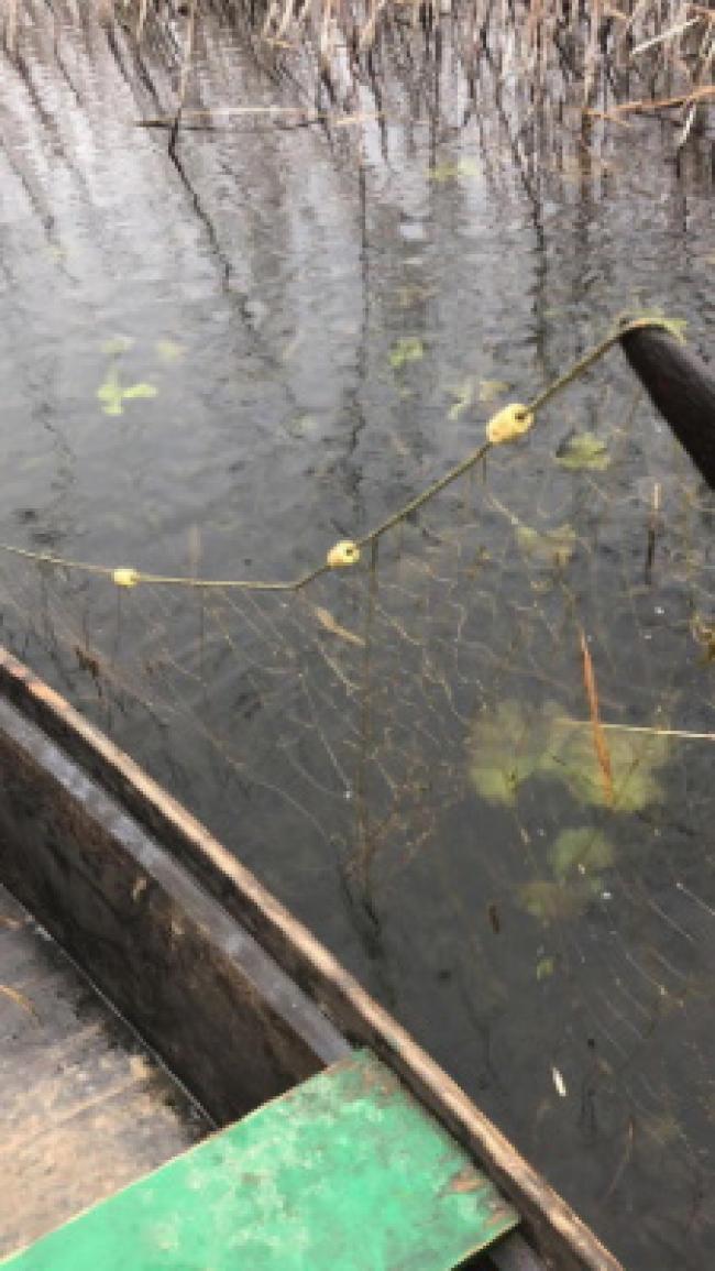 За день у Костопільському районі викрили чотири порушники правил рибальства