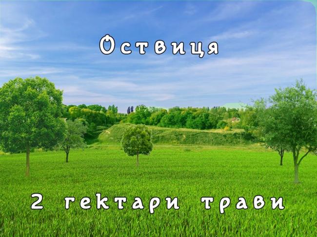 Історичний парк реконструкції "Городище Оствиця" потребує 10 тисяч гривень на посів трави