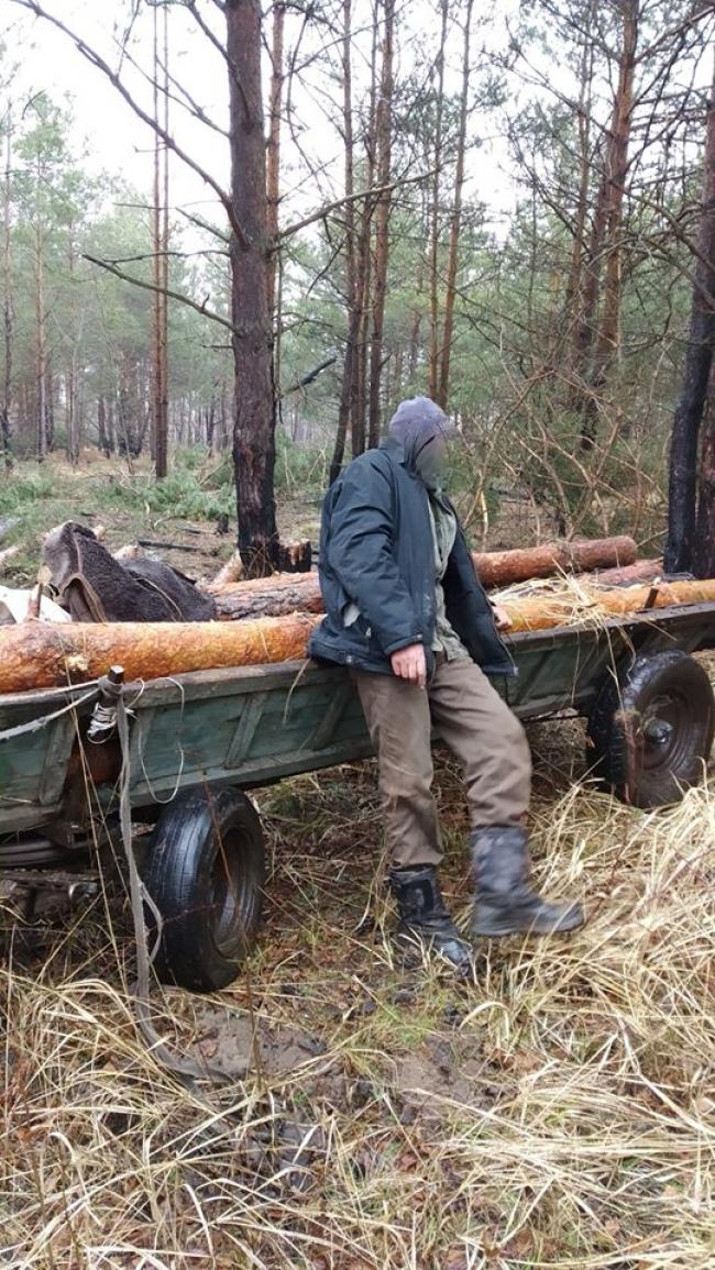 На Рівненщині лісова охорона затримала чоловіка, який перевозив незаконну деревину