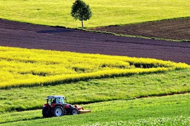 300 одиниць сільськогосподарської техніки працює на полях Рівненщини