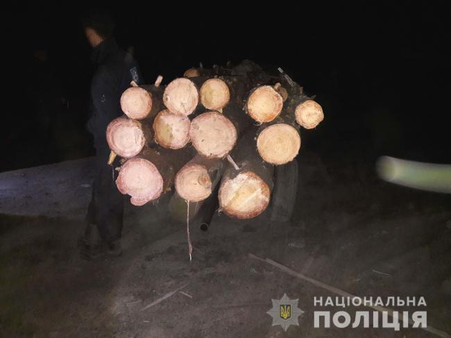 На Рівненщині поліція спіймала крадія деревини
