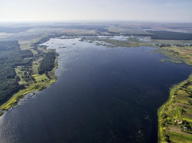 На зариблення водойми Рівненщини планують виділити мільйон гривень