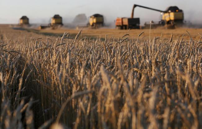 Завдяки аграрним розпискам фермери Рівненщини залучили понад 1 млрд гривень