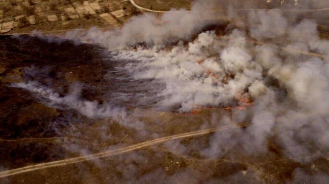 Рівненські рятувальники зняли ролик про пожежі в екосистемах (ВІДЕО)
