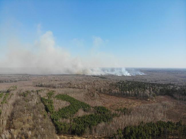 Близько 100 рятувальників боролися з пожежою на Рівненщині