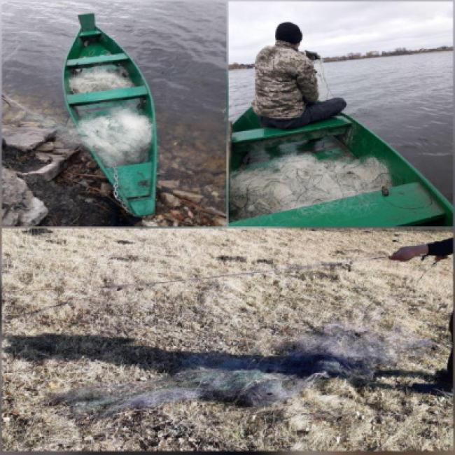 На Рівненщині бракон’єри продовжують виловлювати рибу сітками