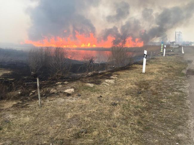  На Рівненщині рятувальники ліквідували масштабне загорання трави (ФОТО)