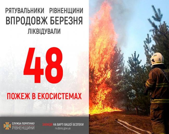 На Рівненщині упродовж березня рятувальники ліквідували 48 пожеж в екосистемах