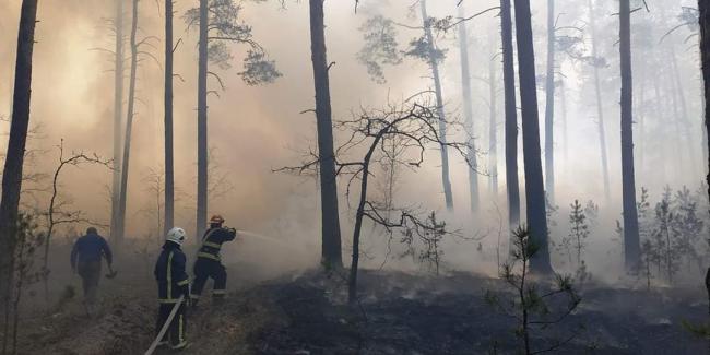 На Рівненщині вигоріло 1,5 га лісу (ФОТО)