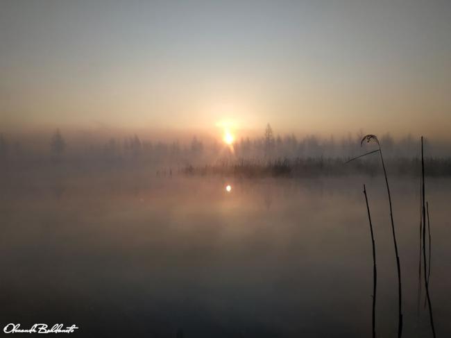 "Неймовірний світанок": вражаючі фото природи Рівненщини
