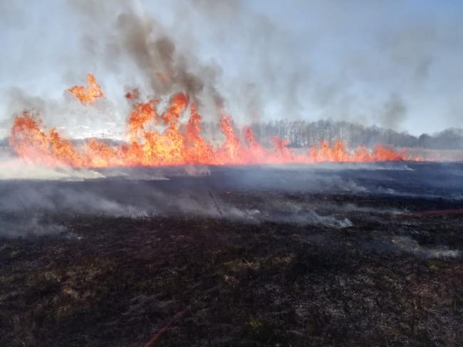 Учора на Рівненщині надзвичайники шість разів гасили пожежі в екосистемах