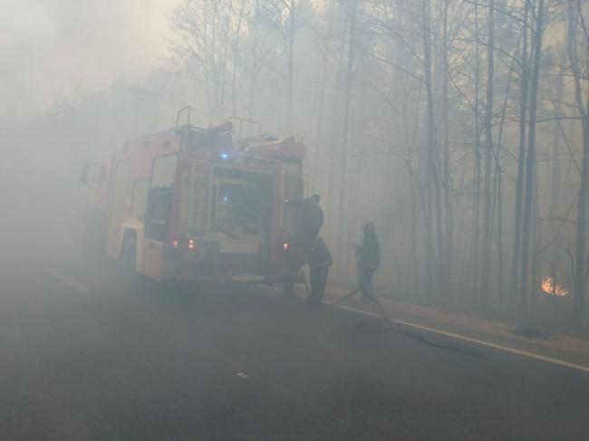 Рівненські рятувальники гасять пожежу в Чорнобильській зоні (ФОТО)