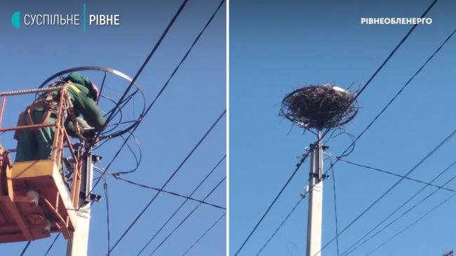 У селі на Рівненщині енергетики зробили безпечні гнізда для птахів