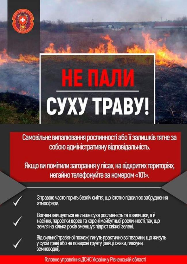 За добу надзвичайники двічі гасили пожежі в екосистемах на Рівненщині