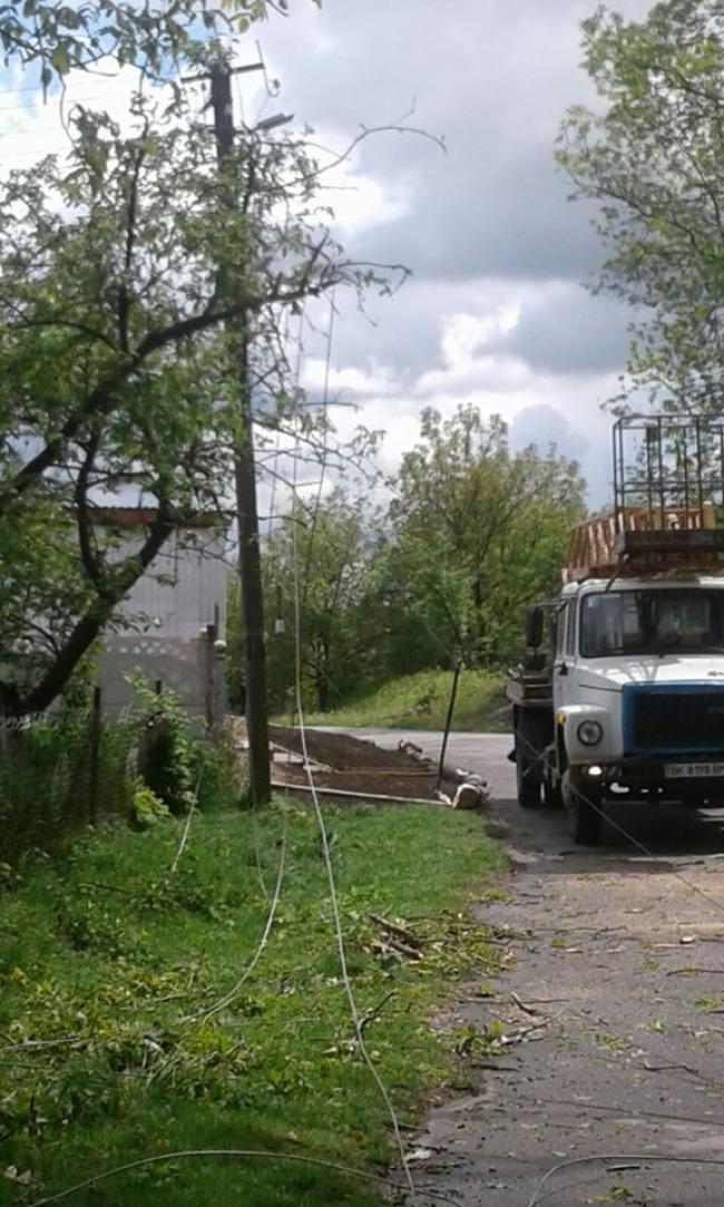 На Рівненщині через обрізку дерев зайнялась трансформаторна підстанція (ФОТО)