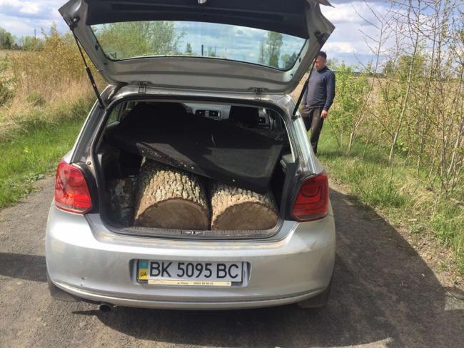 На Рівненщині спіймали крадіїв деревини, які вирубали два дуба (ФОТО)