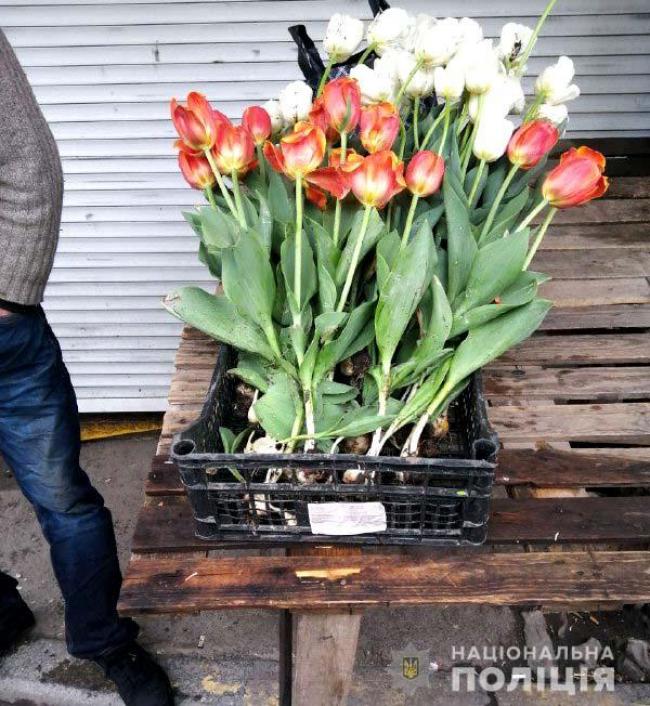 Тюльпани, які викрали із клумб у Рівному, продавали на ринку