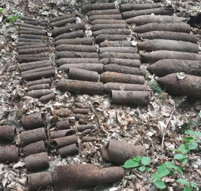 У лісі біля Рівного знайшли майже 80 боєприпасів
