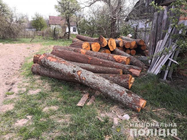 На Рівненщині вдома у чоловіка знайшли 30 колод вільхи без документів