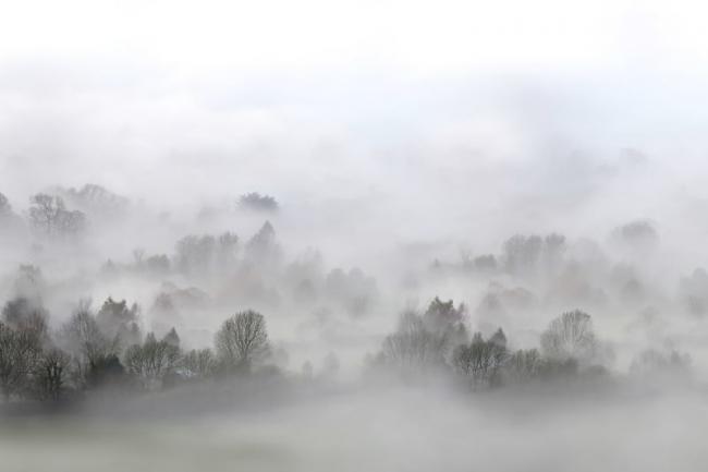 До уваги водіїв: завтра на Рівненщині очікується туман