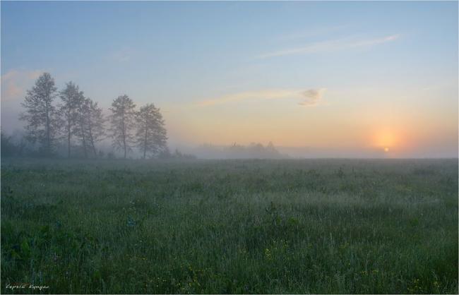 Фотограф з Рівненщини "зловив" перший літній туман (ФОТО)