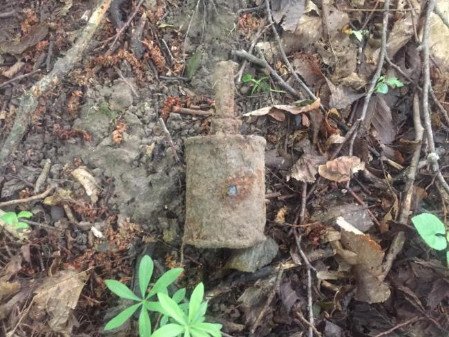 На Рівненщині в лісі знайшли гранату