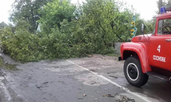 Негода знеструмила більше 20 населених пунктів на Рівненщині