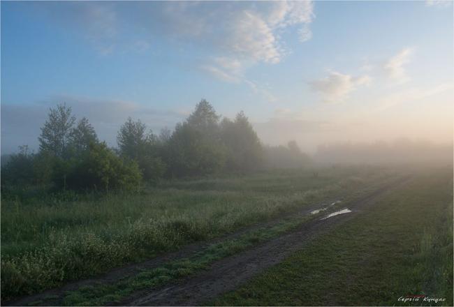 Ранкові луги на знімках фотографа із Рівненщини