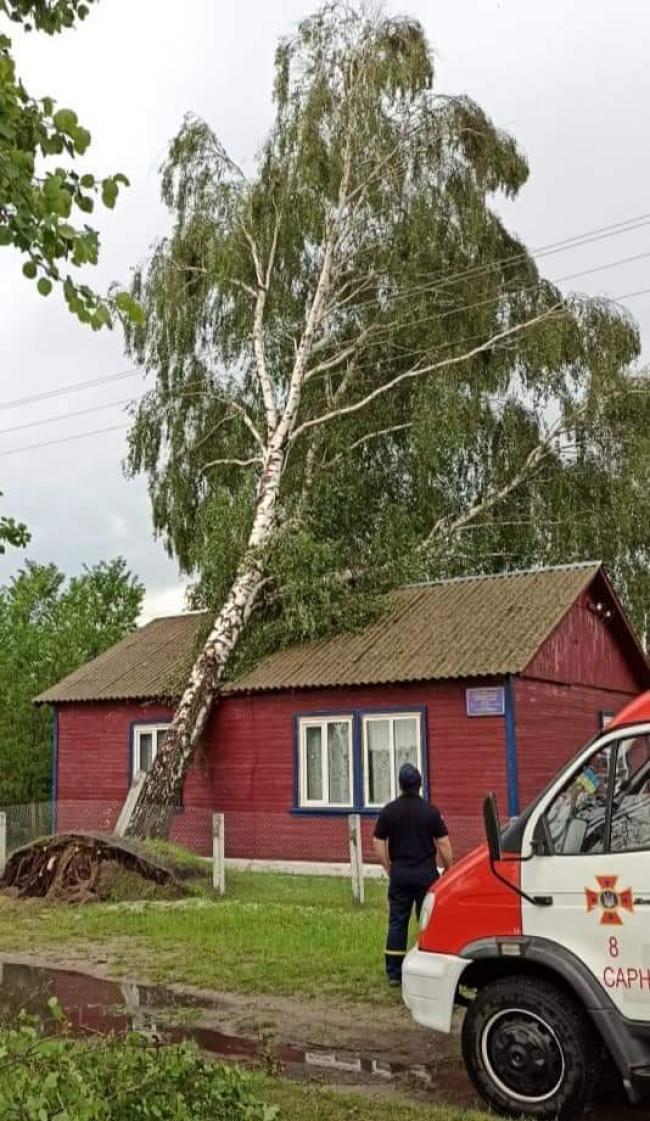Розкрило дах клубу і звалило дерево на амбулаторію: у селі на Рівненщині негода наробила біди (фото)