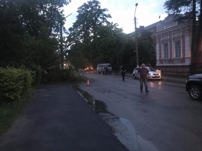 У місті на Рівненщині вітер повалив дерево та залишив усю вулицю без світла (ФОТО)