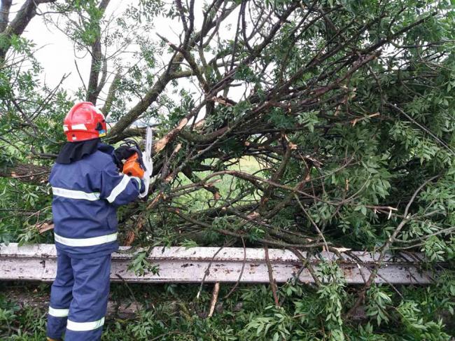 Гощанські рятувальники розчистили 500 метрів дороги від повалених дерев