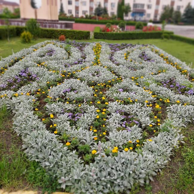 У містечку на Рівненщині упорядкували зелені зони: жителі подякували (ФОТО)