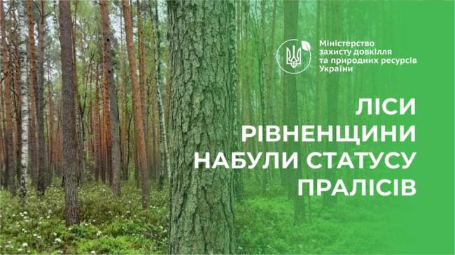 На Рівненщині більше 600 гектарів унікальних лісів отримали статус пралісів