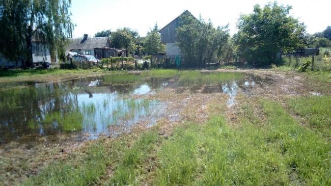 На Рівненщині у людей затопило городи та підвали (ФОТО)