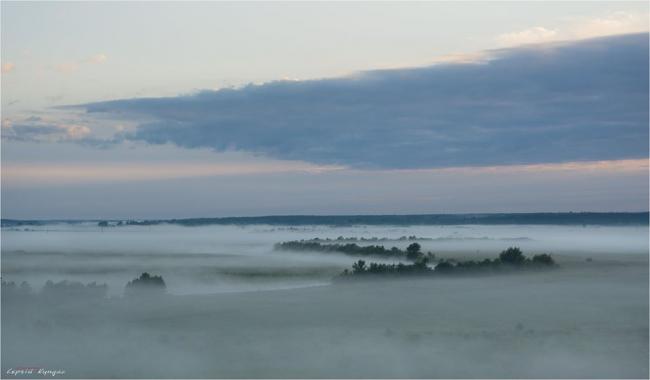 Наче над хмарами: фотограф опублікував світлини туманної Рівненщини