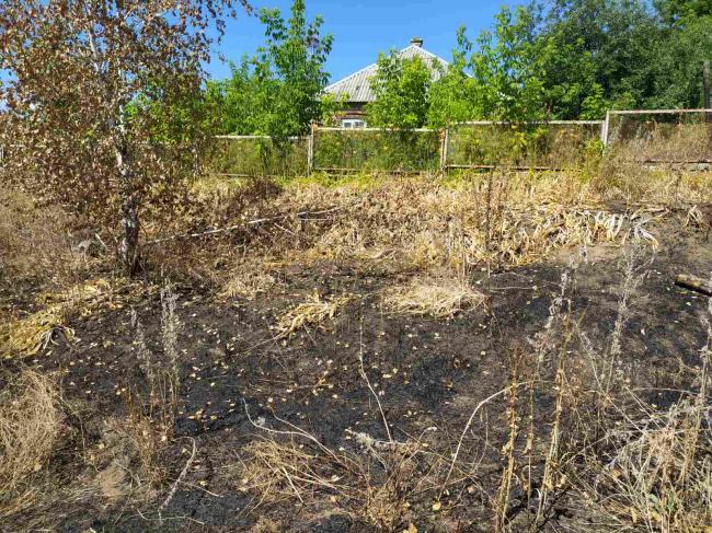 78-річна пенсіонерка згоріла, коли палила траву на городі