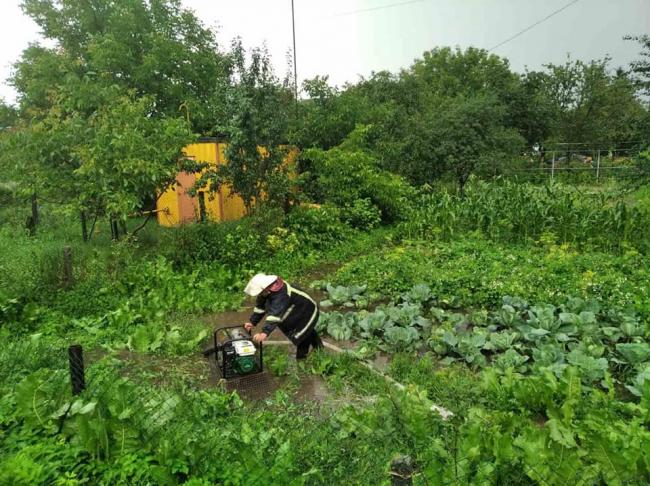 Село на Рівненщині затопило після дощу (ФОТО)