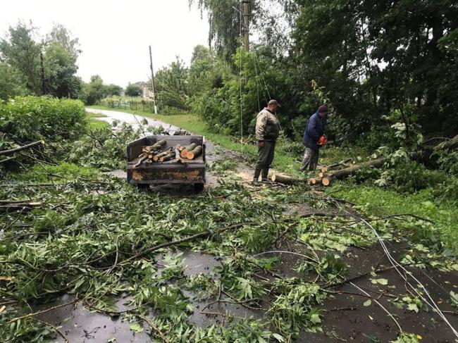 У райцентрі на Рівненщині вітер повалив десятки дерев (ФОТО)